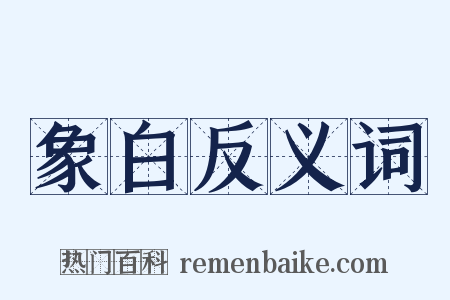 象白反义词是什么意思的图片